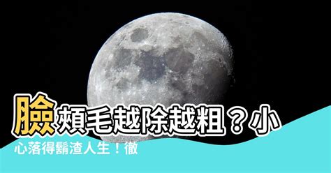 臉頰毛 夢見老鷹飛向我